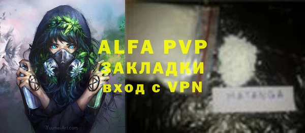 дживик Богданович