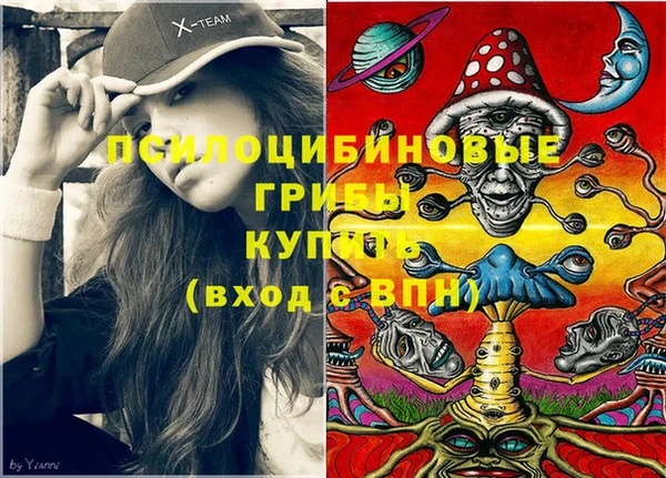 дживик Богданович