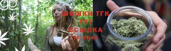 соль ск Богородицк