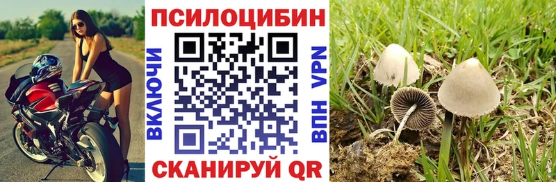 Псилоцибиновые грибы мицелий  Верхотурье 